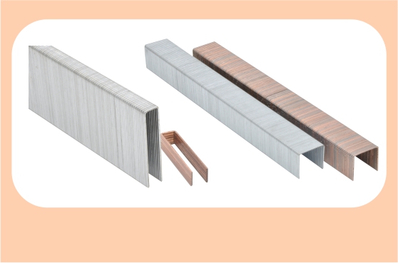 Guangzhou Mai Xuan Xin Commercial and Trading Co., Ltd