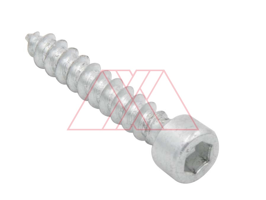 Self-tapping screw, hex