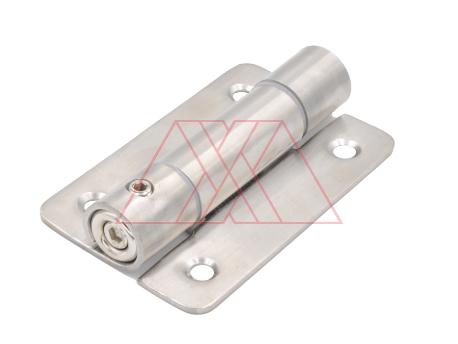 Door hinge with spring, SS
