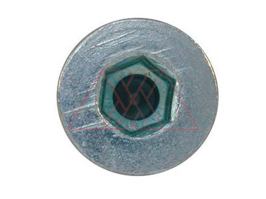 MXXJ-002 (HDS) | Cabinet screw 6,3mm